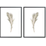 Beige Mirrored Feather Set - D'Luxe Prints