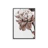 Beige Pink Ranunculus Flower - D'Luxe Prints