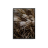 Beige Reeds - D'Luxe Prints