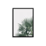 Bismarck Palm - D'Luxe Prints