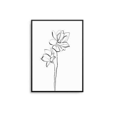 Black Daffodils Outline - D'Luxe Prints