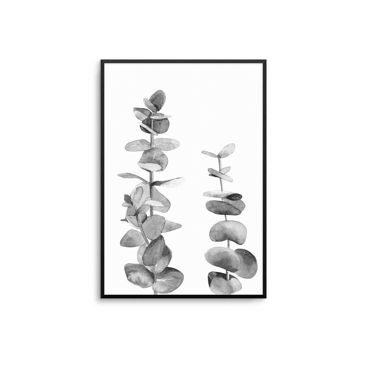 Black Eucalyptus - D'Luxe Prints