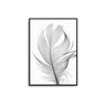 Black Feather - D'Luxe Prints