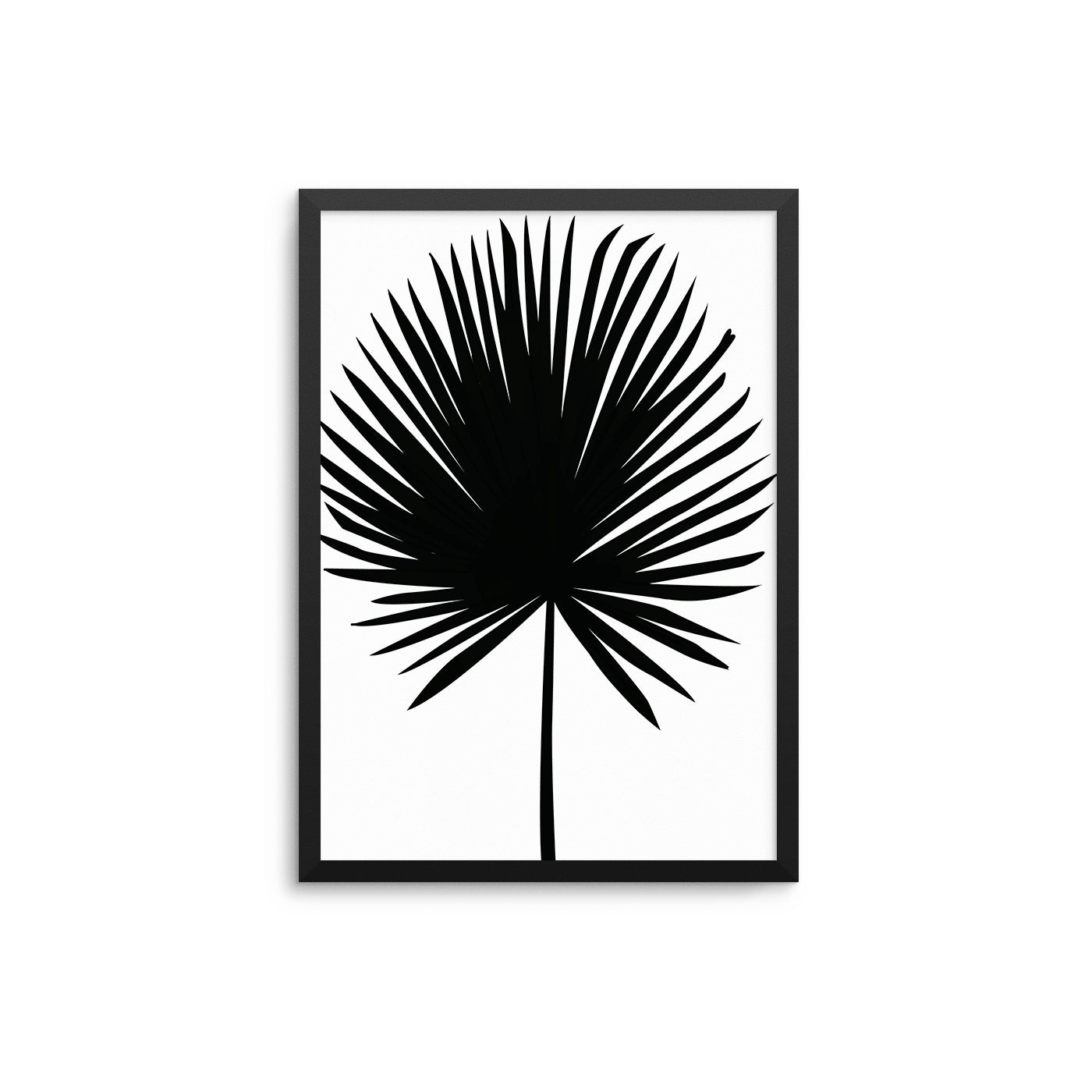 Black Full Fan Palm - D'Luxe Prints