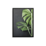 Black Out Monstera Plant - D'Luxe Prints
