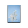 Blue Reeds - D'Luxe Prints