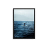 Blue Whale - D'Luxe Prints
