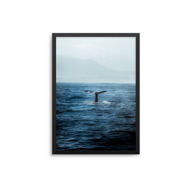 Blue Whale - D'Luxe Prints