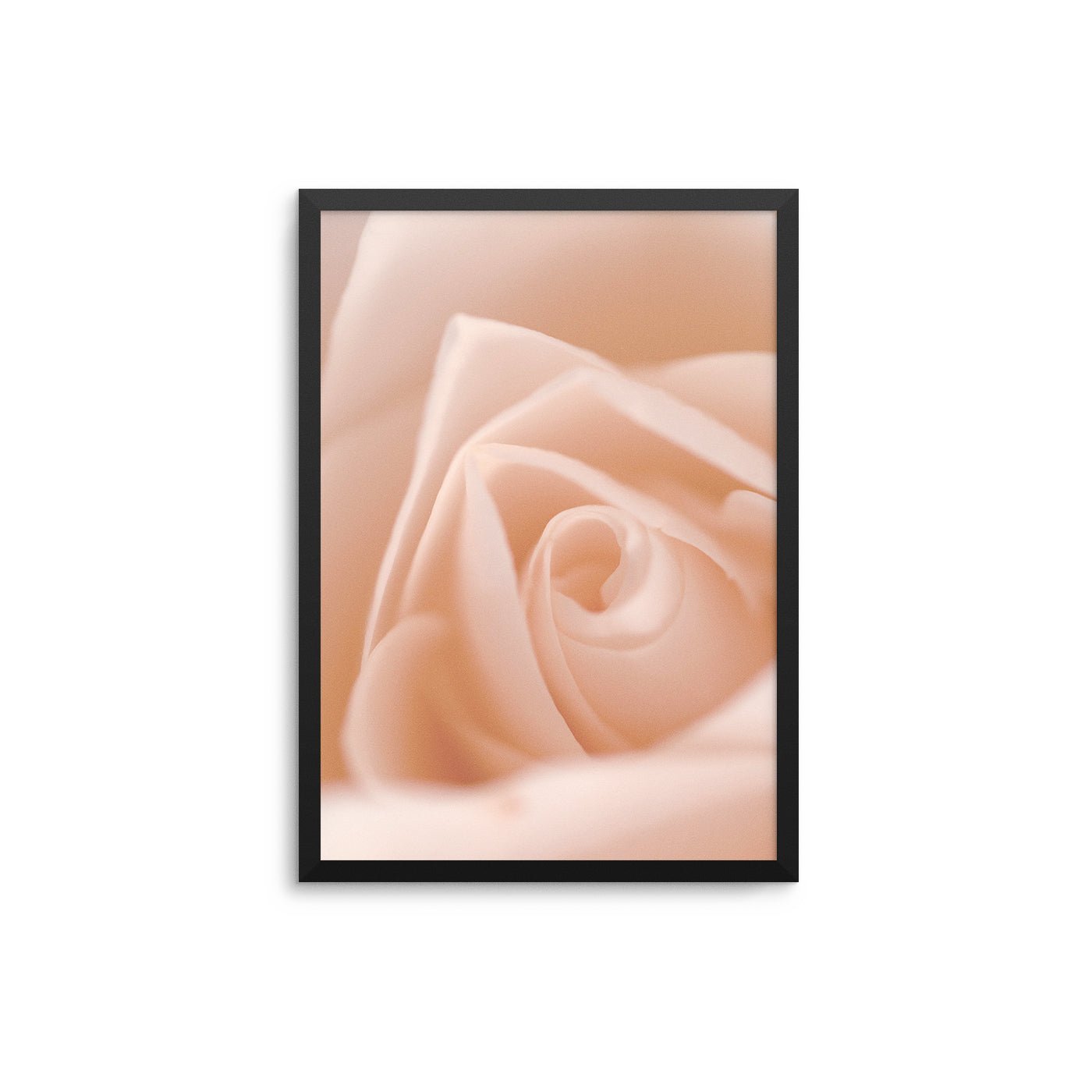 Blush Pink Flower Close Up - D'Luxe Prints