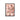 Blush Pink Roses - D'Luxe Prints