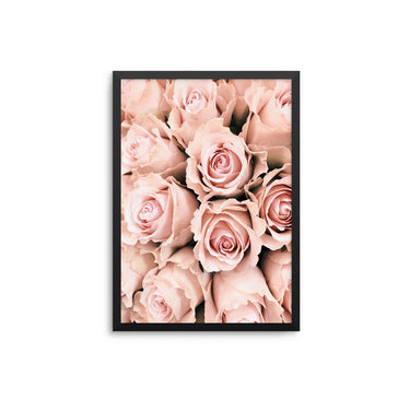 Blush Pink Roses - D'Luxe Prints
