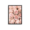 Blush Pink Roses - D'Luxe Prints