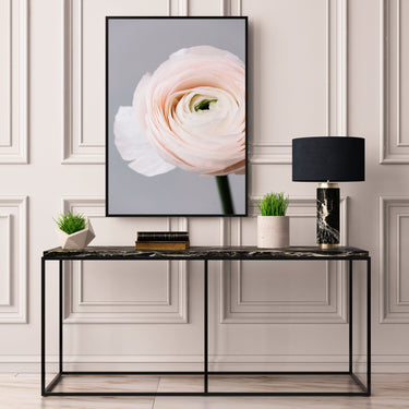 Blush Ranunculus Flower - D'Luxe Prints