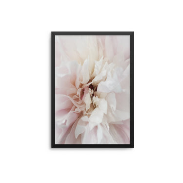 Blush White Flower - D'Luxe Prints