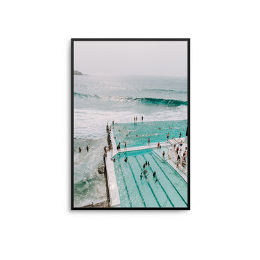 Bondi Iceburgs - D'Luxe Prints
