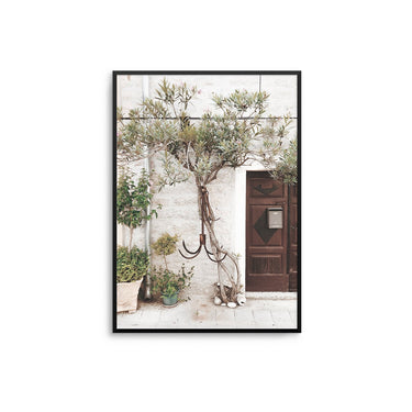 Botanical Porch - D'Luxe Prints