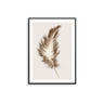 Brown and Beige Feather I - D'Luxe Prints