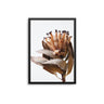 Brown Flower - D'Luxe Prints