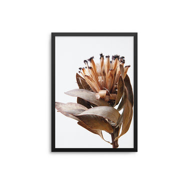 Brown Flower - D'Luxe Prints