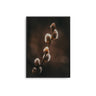 Budding Cotton II - D'Luxe Prints