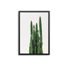 Cactus - D'Luxe Prints