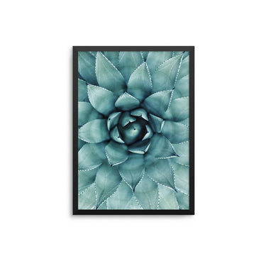 Cactus Flower - D'Luxe Prints