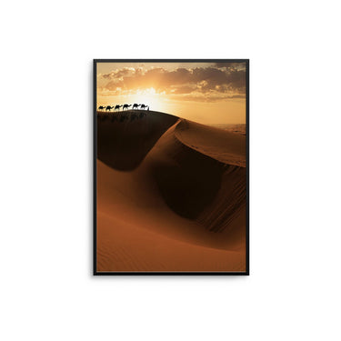 Camels On Dune - D'Luxe Prints
