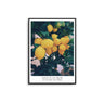 Collecte De Fruits - Lemon - D'Luxe Prints