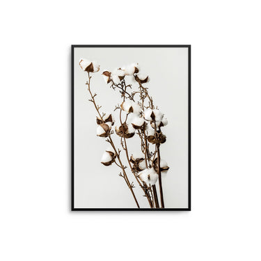 Cotton Flower - D'Luxe Prints