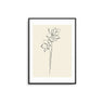 Daffodil Flower Outline - D'Luxe Prints