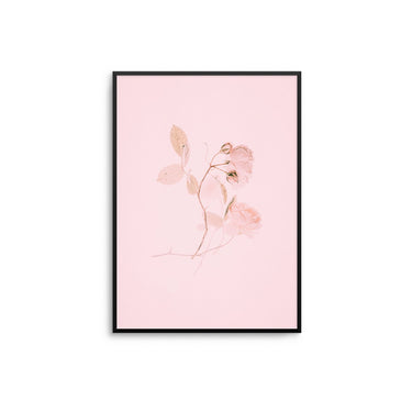 Delicate Flower - D'Luxe Prints