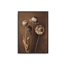 Dried Flowers - D'Luxe Prints