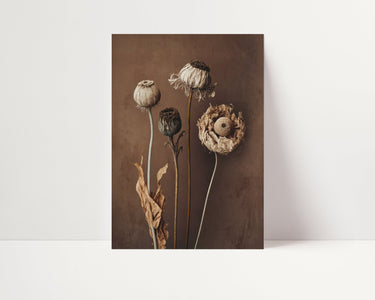 Dried Flowers - D'Luxe Prints