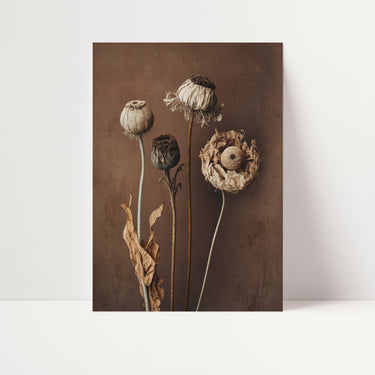 Dried Flowers - D'Luxe Prints