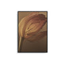 Dry Daffodil - D'Luxe Prints