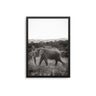 Elephant Walk - D'Luxe Prints