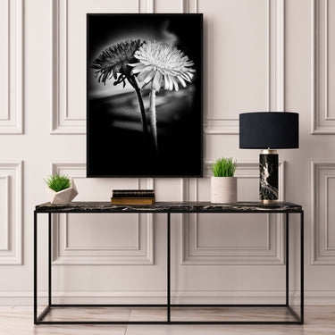 English Daisy Monochrome - D'Luxe Prints