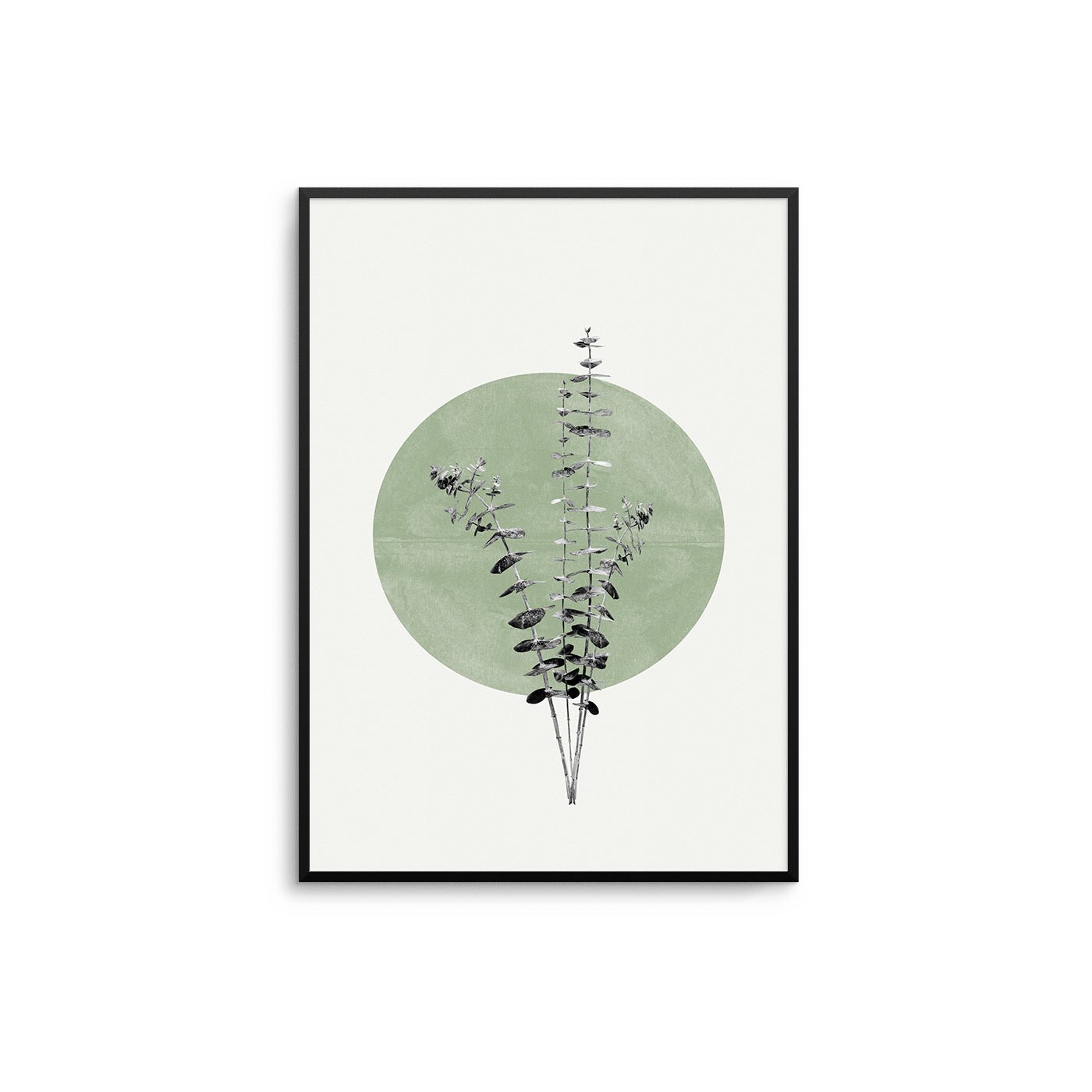 Eucalyptus Abstract - D'Luxe Prints