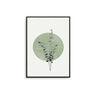 Eucalyptus Abstract - D'Luxe Prints