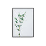 Eucalyptus Branch - D'Luxe Prints