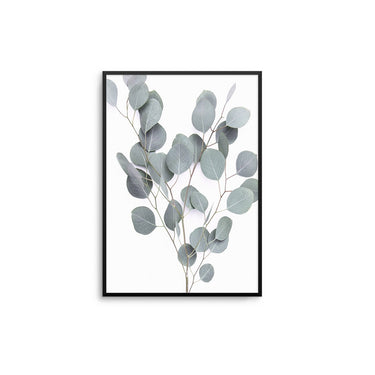 Eucalyptus III - D'Luxe Prints