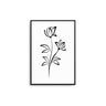 Flower Lines II - D'Luxe Prints