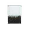 Forest Mist - D'Luxe Prints