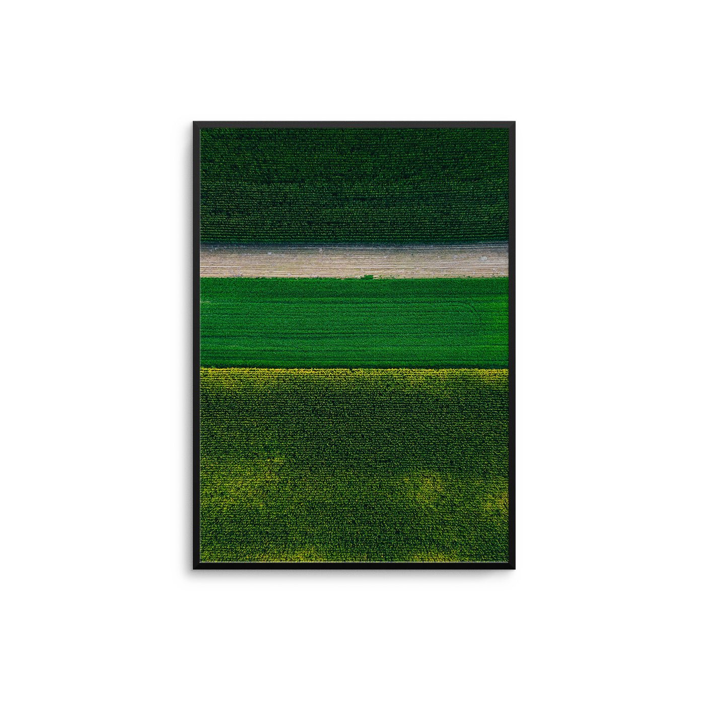 Gradient Lawn - D'Luxe Prints