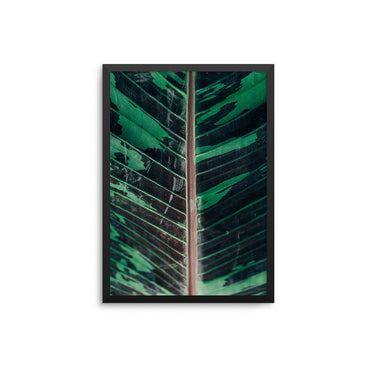 Green Black Leaf - D'Luxe Prints