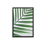 Green Leaves Close Up - D'Luxe Prints