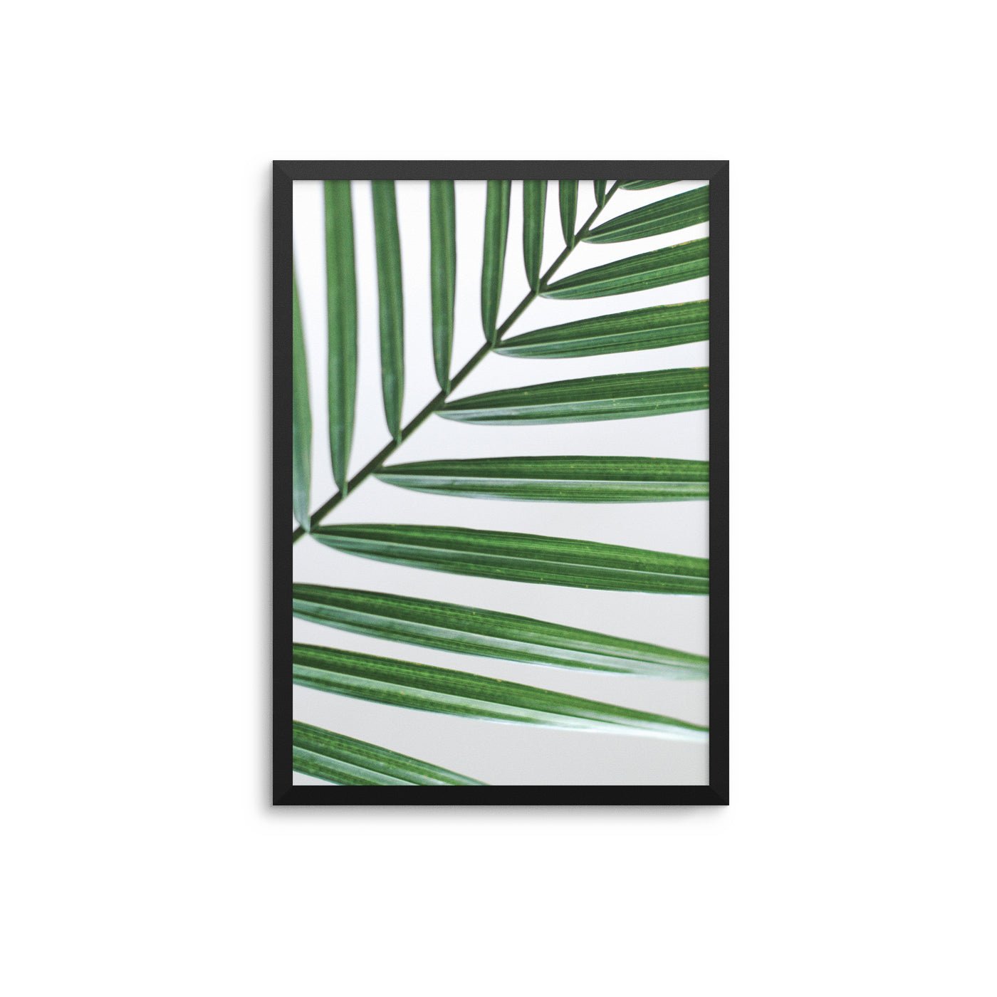 Green Leaves Close Up - D'Luxe Prints