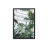 Greenhouse Palms - D'Luxe Prints