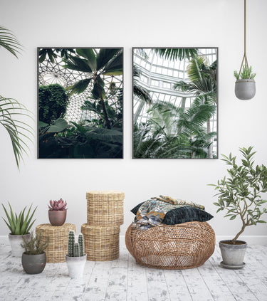 Greenhouse Palms - D'Luxe Prints