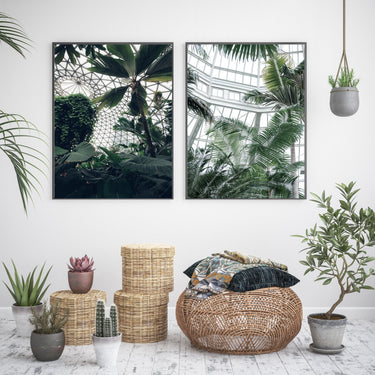 Greenhouse Palms - D'Luxe Prints
